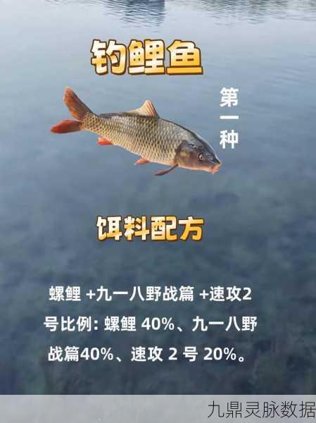 烟雨江湖鲤鱼垂钓指南，探寻最佳钓点