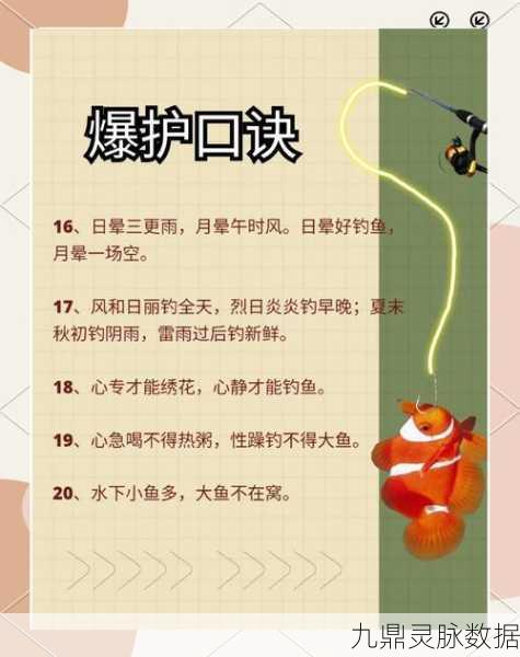 烟雨江湖鲤鱼垂钓指南,探寻最佳钓点
