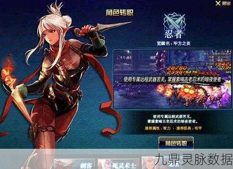 DNF忍者之秘,深度剖析忍者的独特被动技能
