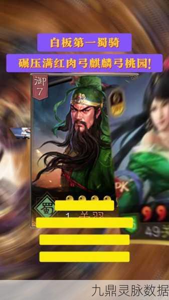 三国志战略版，关妹姜维赵云战法深度剖析与搭配秘籍