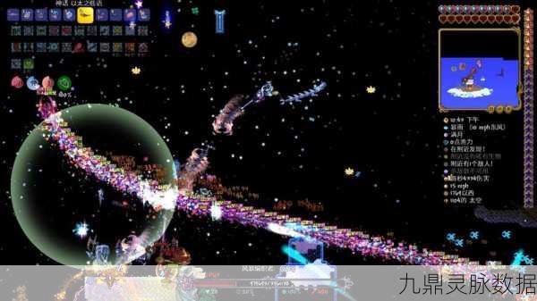 甲虫上衣大揭秘,泰拉瑞亚玩家的终极选择