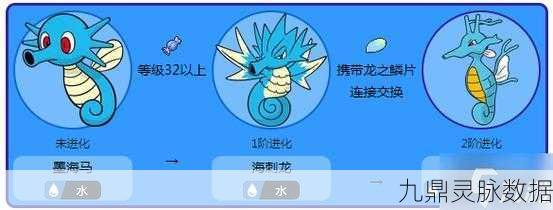宝可梦大探险,海刺龙技能搭配深度解析与实战推荐