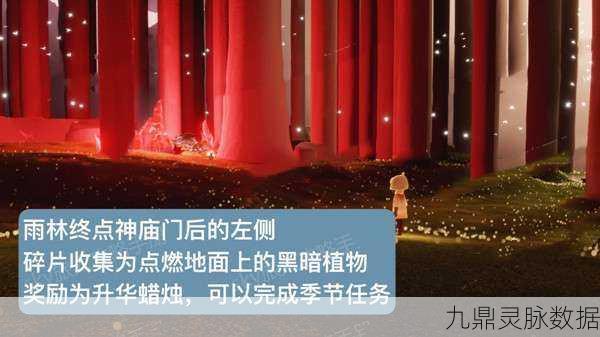 光遇树屋探秘,解锁雨林中的神秘之地