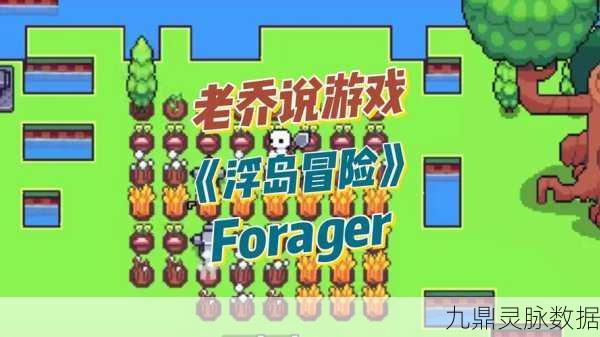 浮岛冒险Forager，掌中联机新纪元，冒险闯关无界限