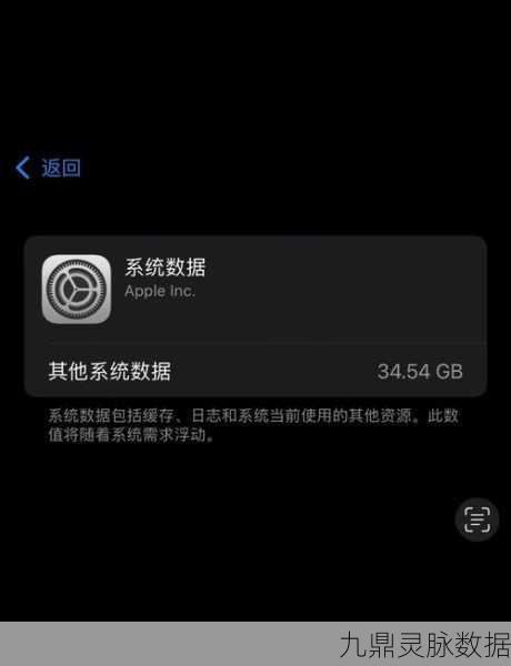 iPhone用户必看！轻松搞定和平精英缓存清理秘籍