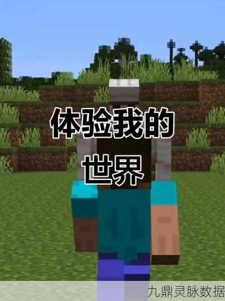 探索无限可能,我的世界热门MOD全解析
