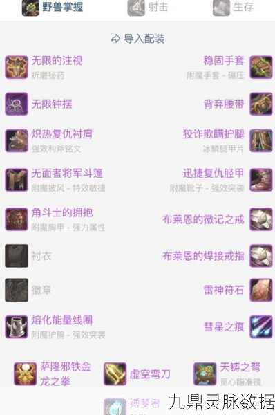 魔兽世界龙筋箭袋任务材料揭秘,挑战蓝龙获取肌腱