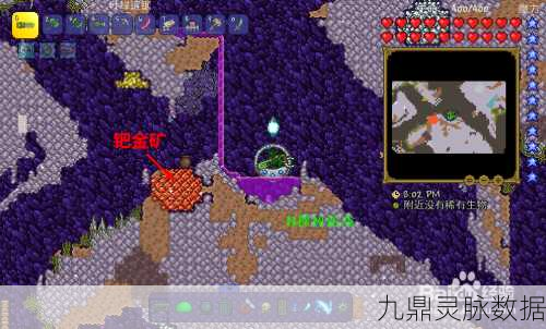 泰拉瑞亚金鲤鱼探秘奇遇,珍稀之源与捕获攻略