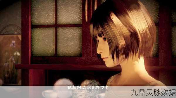 零濡鸦之巫女,豪华与普通,资源管理大不同