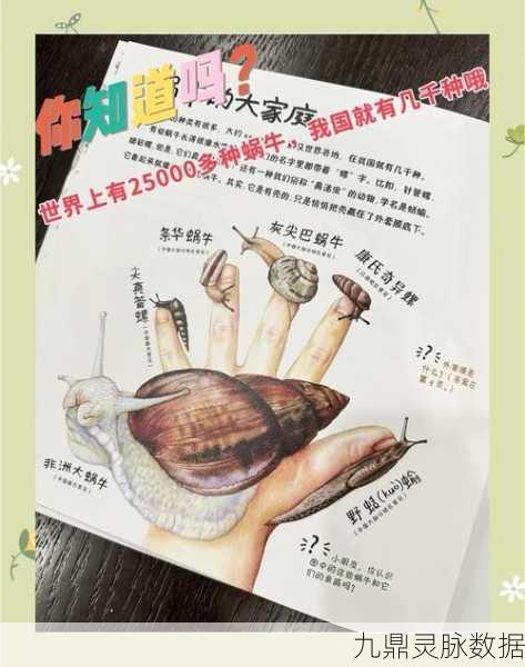 探秘最强蜗牛，蜗牛肖像全解析，打造个性化蜗居之旅