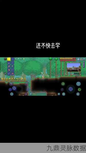 泰拉瑞亚帧数显示，解锁游戏体验的终极秘籍