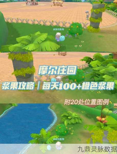 摩尔庄园手游深度探索，奇异果高效采集秘籍全揭秘