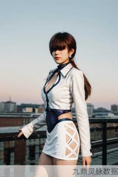 拳皇97OL夏尔米,雷电之力的全面解析