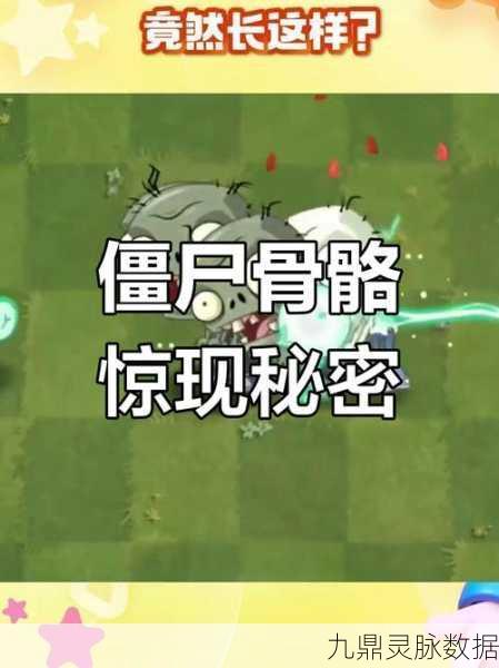植物大战僵尸,解锁隐藏彩蛋代码的奇妙之旅