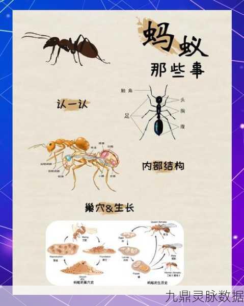 探索十七立方厘米的奇迹,微观宏观交织的冒险新纪元