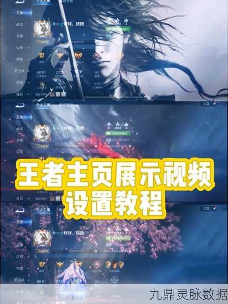 王者荣耀深度探索，揭秘高级设置，重塑你的游戏之旅