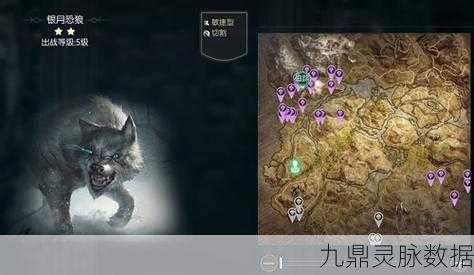 黑暗与光明手游，战斗宠物选择全攻略