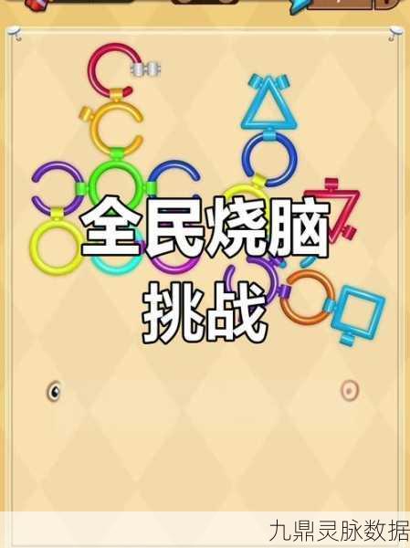 脑力争霸赛，解锁智慧极限的益智盛宴