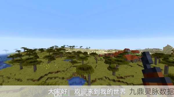 我的世界领地权限大揭秘,如何赋予玩家所有权限