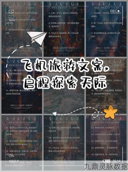 探索未知,点亮生存之光,寻找光明生存冒险之旅启程