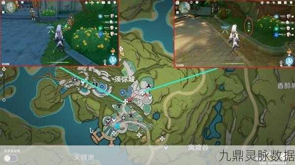 原神帕蒂莎兰采集,解锁高效路线,助你轻松收集