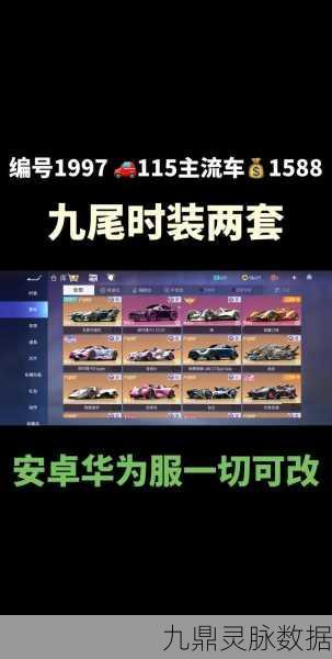 竞速之梦,探索王牌竞速昵称背后的热血与激情
