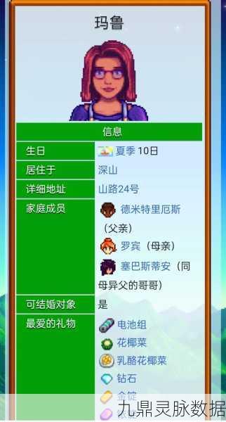 揭秘!星露谷物语中玛鲁的喜好深度剖析,惊喜连连,她心中的挚爱竟是它!