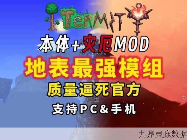 泰拉瑞亚,探索不同篝火的恢复能力奥秘