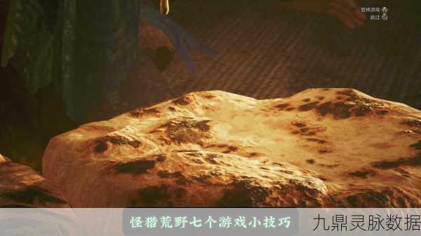 怪物猎人龙之一矢收益最大化,狩猎与收益双赢攻略
