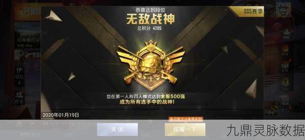 和平精英团竞徽章,解锁荣耀之路的璀璨足迹