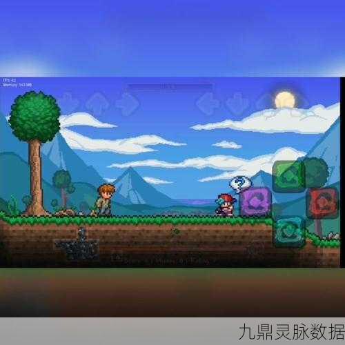 泰拉瑞亚向导的森林情缘,揭秘独爱之谜