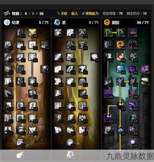 WLK牧师天赋及雕文深度探索,策略与技巧全揭秘