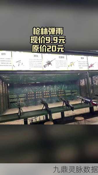 枪林弹雨中的闯关大师,体验极致射击快感