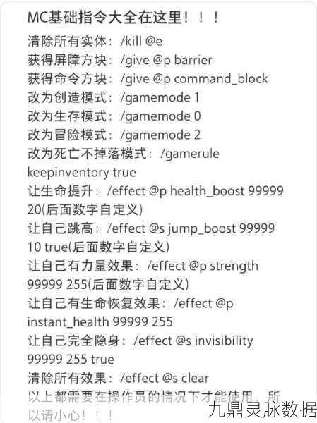 手机版我的世界联机指令大揭秘