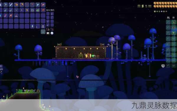 泰拉瑞亚深度解析,松露人的居住条件全揭秘