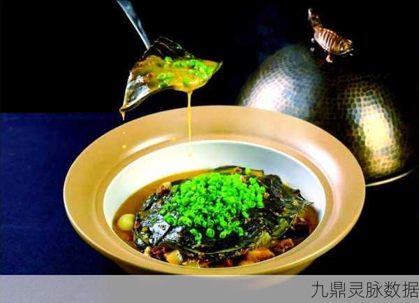 天涯明月刀手游,美食江湖,雪莲甲鱼汤秘籍独家揭秘