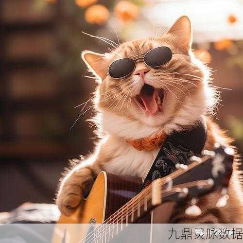 猫咪节奏达人，音乐与萌宠的律动盛宴