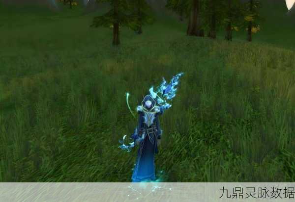 魔兽世界WLK,解锁寒冷飞行,探索冰雪世界的翅膀