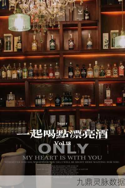 放置酒家,打造你的梦幻酒馆之旅