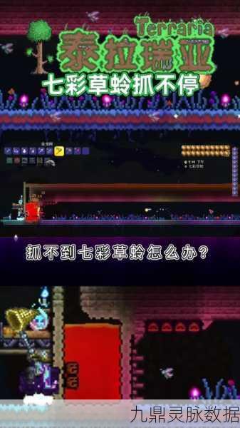泰拉瑞亚七彩草蛉,解锁白天释放的奥秘