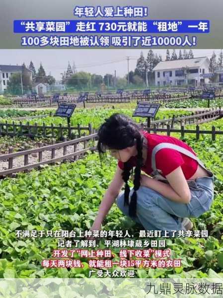 黏脚菜园,开启你的种田大冒险之旅