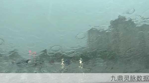 雨幕中的归途，解锁回家之谜深度解析