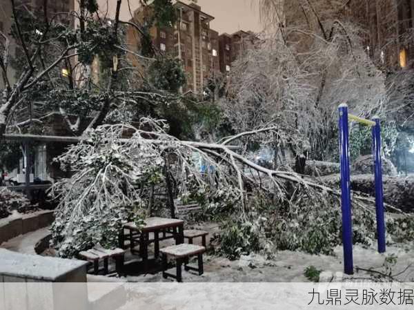 雨幕中的归途,解锁回家之谜深度解析