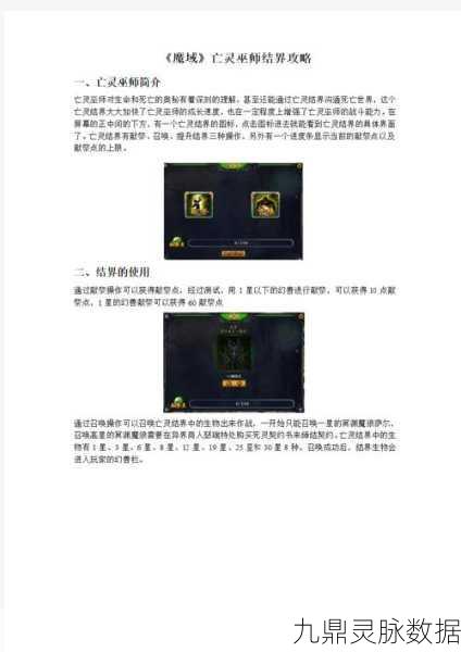 魔域亡灵巫师技能全解析与实战攻略