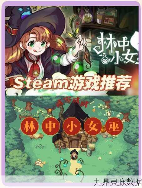 奇缘之旅，安卓冒险解谜新纪元，探索未知世界的奇妙之旅