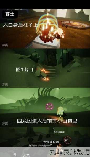 光遇奇妙之旅，追踪绿色光芒，解锁神秘栖息地的终极探索指南