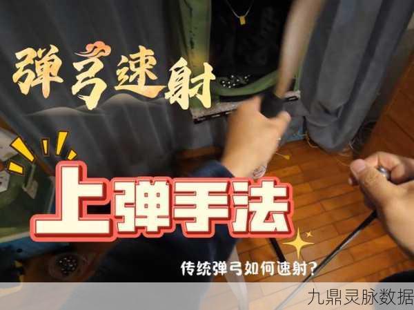 小森生活弹弓秘籍,解锁你的狩猎大师之路
