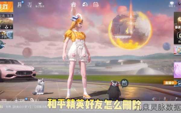 和平精英删除好友全攻略，轻松管理你的游戏社交圈