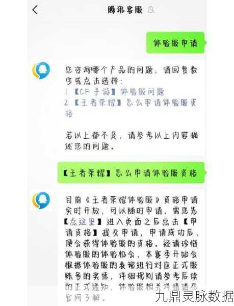 王者荣耀体验服探秘，解锁登录秘籍，轻松启程新征途！
