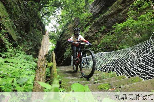 极品单车驰骋山地,挑战极限躲避之旅